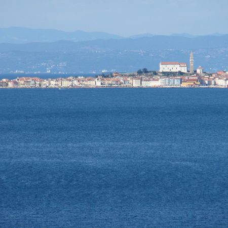 Apartments Salvore Crveni Vrh Kültér fotó